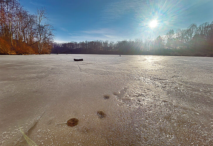 Picture This: Still Waters...